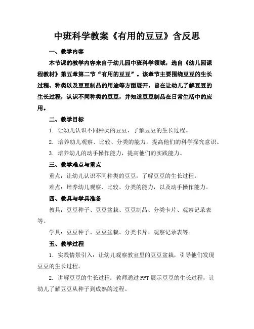中班科学教案《有用的豆豆》含反思