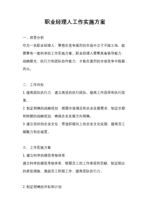 职业经理人工作实施方案