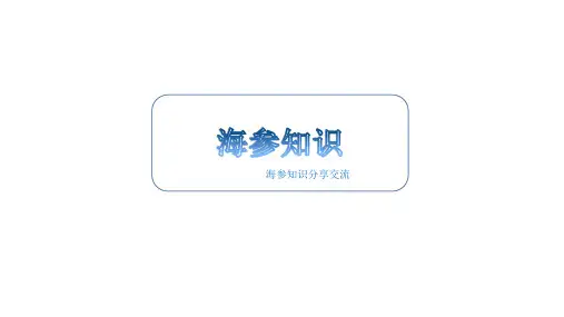 海参基础知识