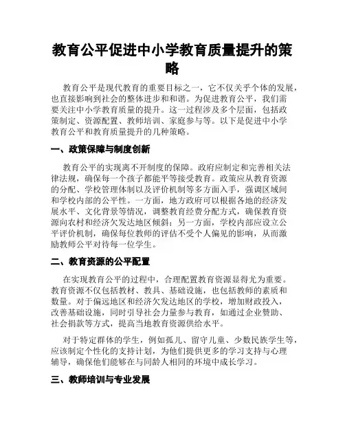教育公平促进中小学教育质量提升的策略
