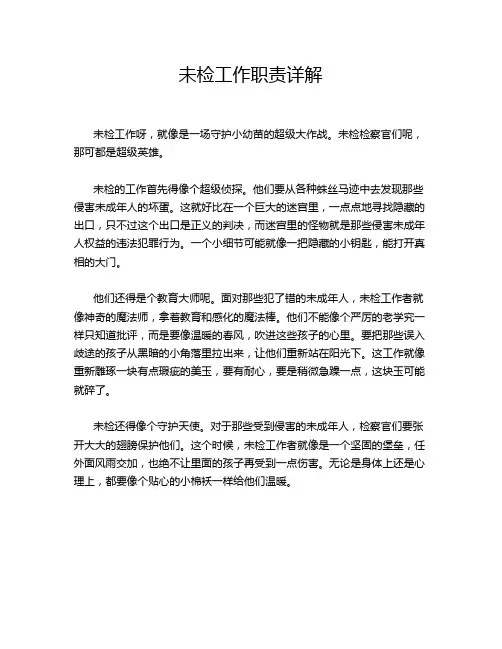 未检工作职责详解