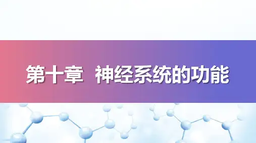 神经系统的功能—神经系统的感觉分析功能(生理学课件)