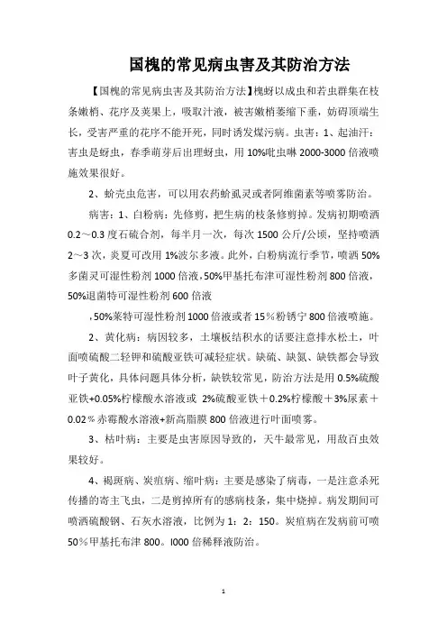 国槐的常见病虫害及其防治方法