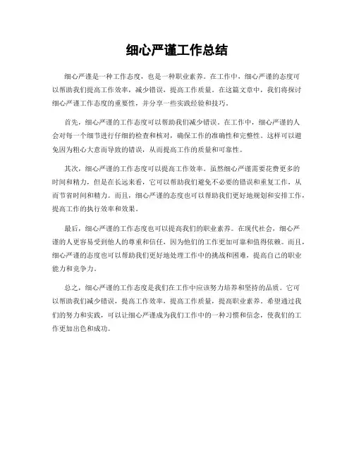 细心严谨工作总结