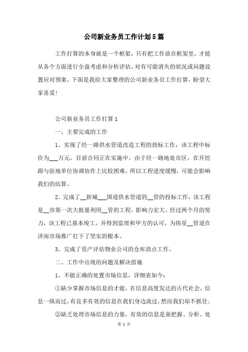 公司新业务员工作计划5篇
