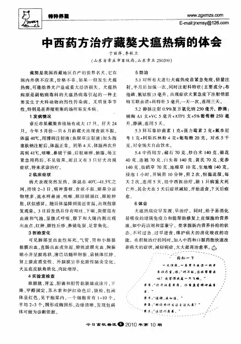 中西药方治疗藏獒犬瘟热病的体会