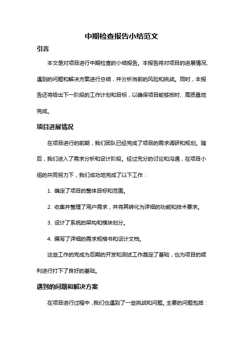 中期检查报告小结范文