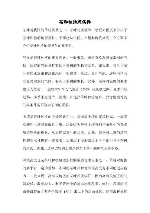 茶种植地理条件
