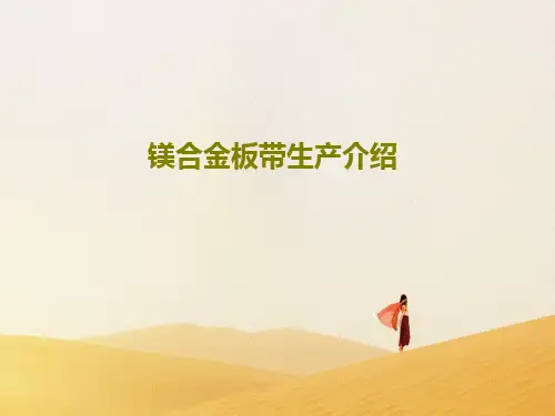 镁合金板带生产介绍共43页