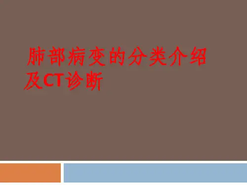 肺部病变的分类介绍及CT诊断