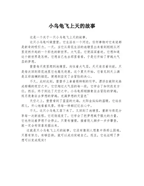 小乌龟飞上天的故事