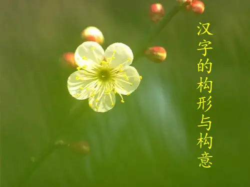 汉字学汉字的构形与构意 ppt课件