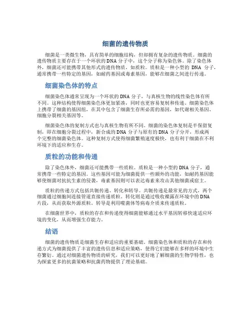 细菌的遗传物质