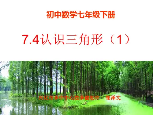 苏教版七年级数学下册认识三角形课件