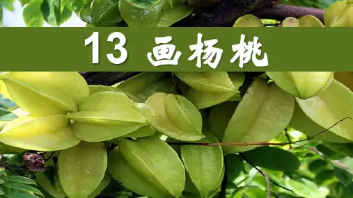 《13画杨桃》公开课获奖课件