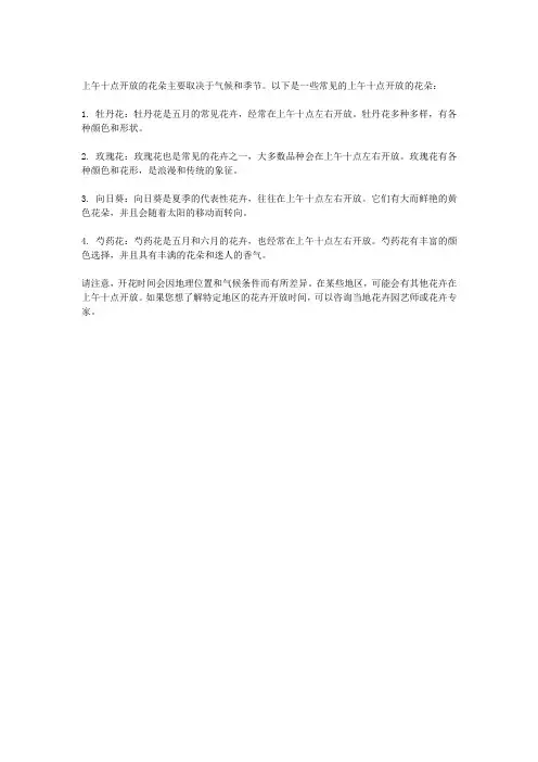 上午十点什么花开放