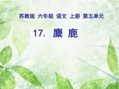 六年级上册语文课件-课文17 麋鹿｜苏教版 (共37张PPT)