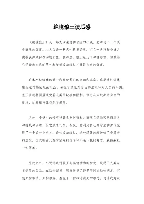 绝境狼王读后感