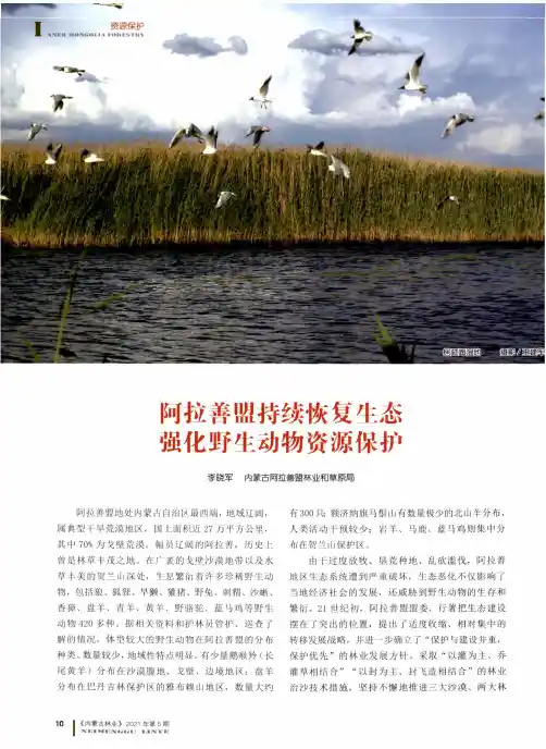 阿拉善盟持续恢复生态 强化野生动物资源保护