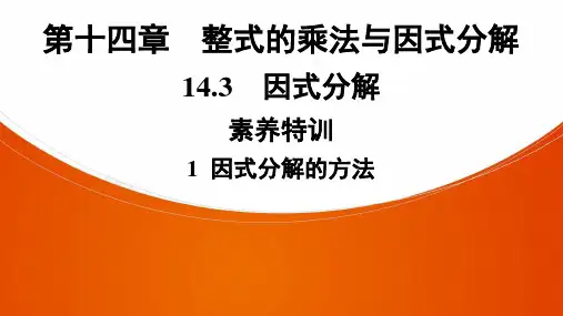 《因式分解》(上课)课件PPT2