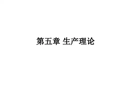 经济学 第五章  生产理论 (1)
