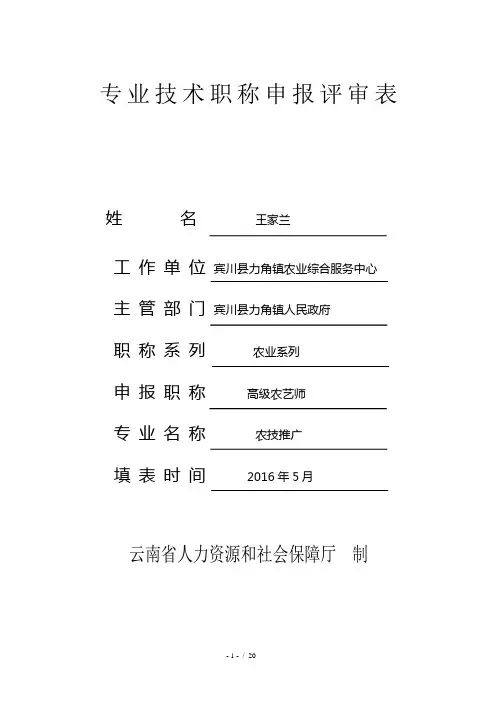 农业专业技术职称申报评审表