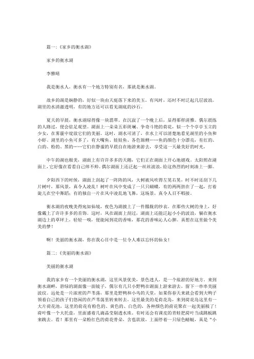 关于衡水湖的作文