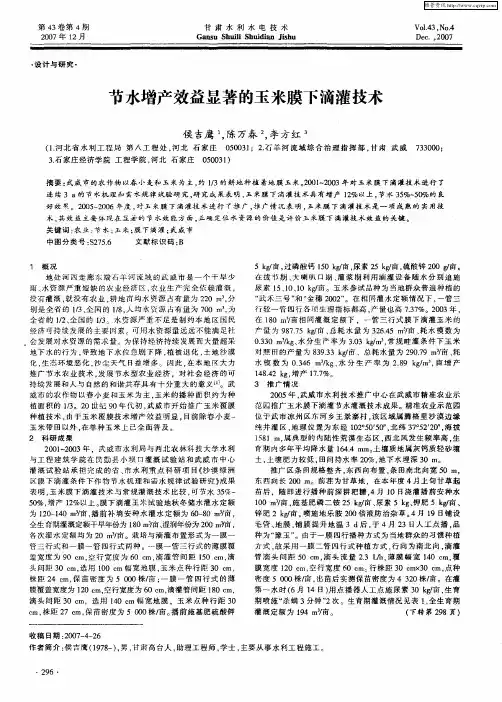 节水增产效益显著的玉米膜下滴灌技术
