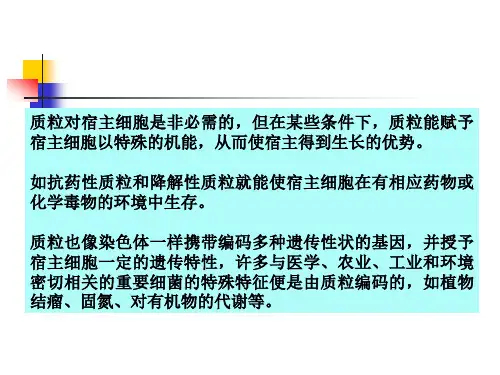 质粒plasmPPT课件