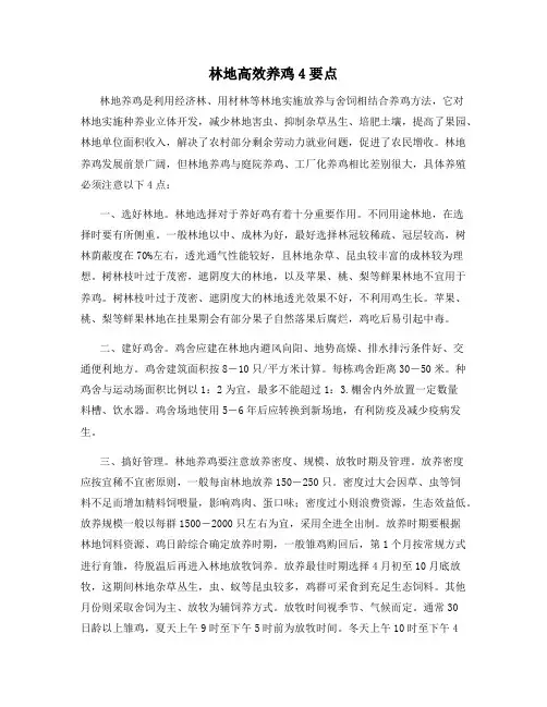 林地高效养鸡4要点
