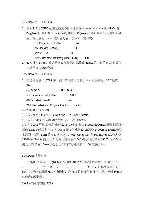 31cDNA第一链的合成