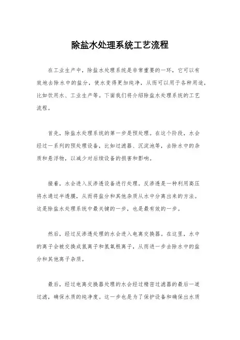 除盐水处理系统工艺流程