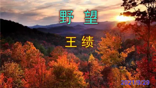 《野望》精品PPT课件