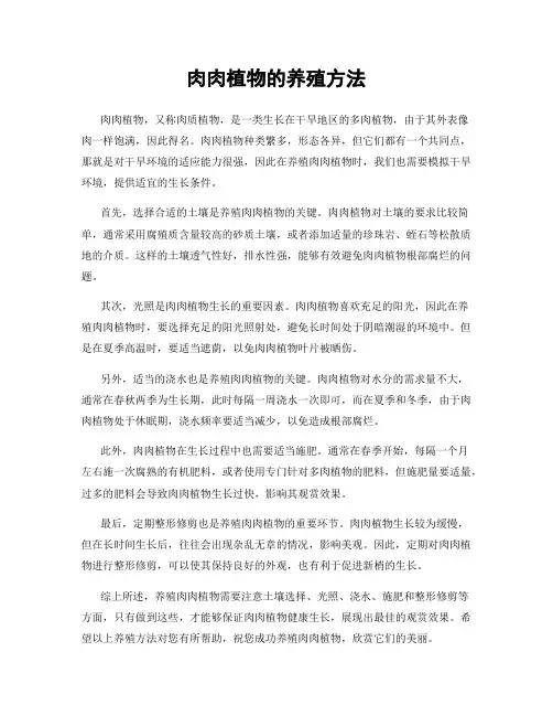 肉肉植物的养殖方法