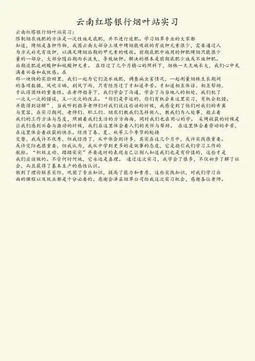 云南红塔银行烟叶站实习