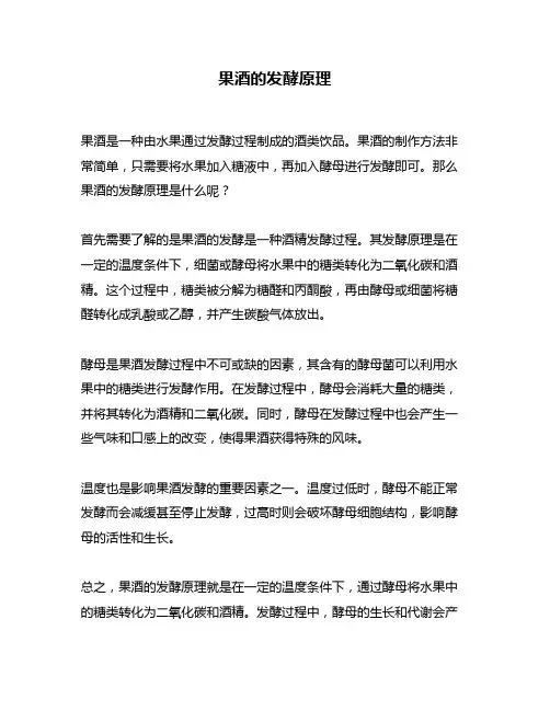 果酒的发酵原理