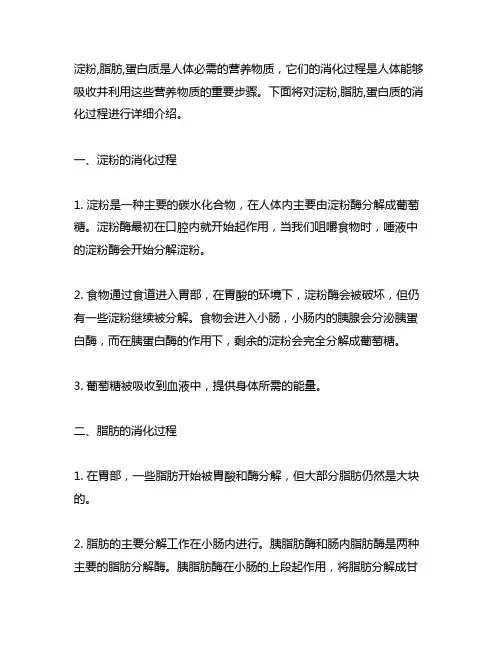 淀粉,脂肪,蛋白质的消化过程