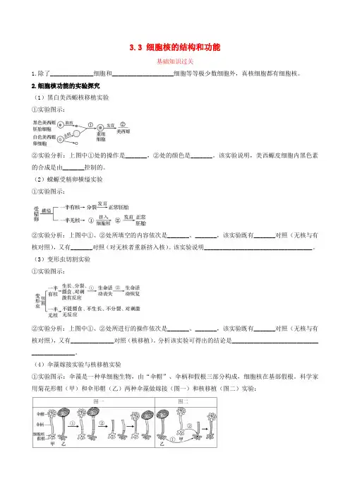 2024年同步备课高中生物3.3细胞核的结构和功能同步训练学生版新人教版必修1
