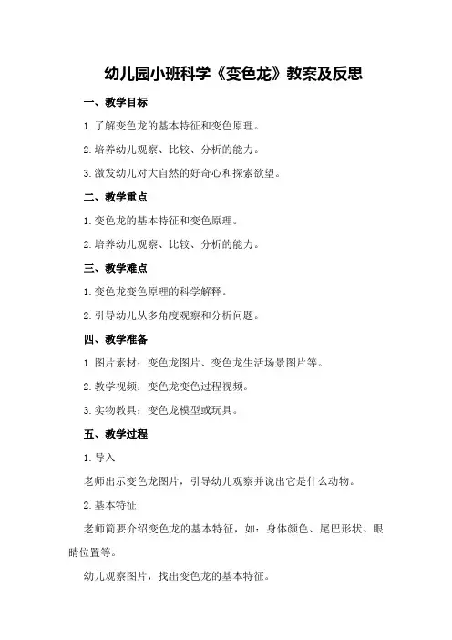 幼儿园小班科学《变色龙》教案及反思