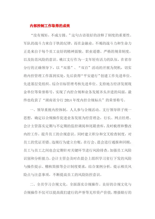 内部控制工作取得的成效