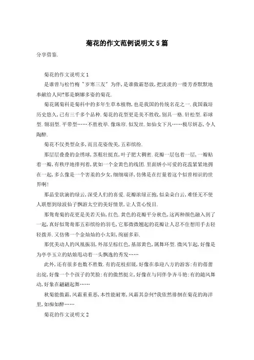 菊花的作文范例说明文5篇