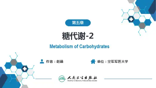 生物化学及分子生物学(人卫第九版)-05-05节糖代谢