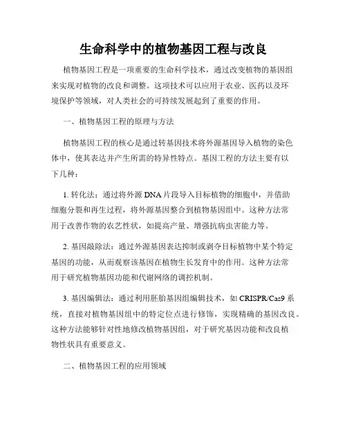 生命科学中的植物基因工程与改良