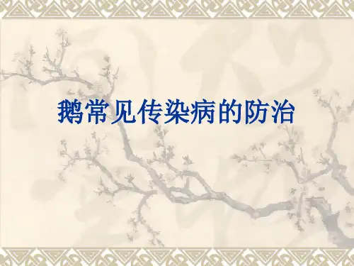 鹅常见传染病防治