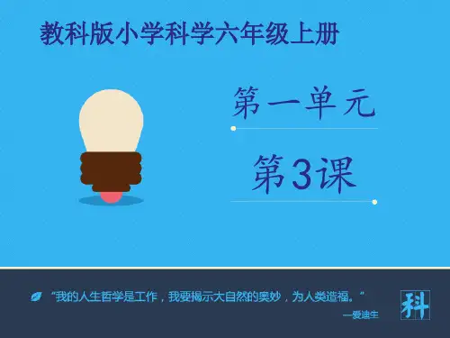 六年级上册科学PPT课件-杠杆类工具的研究∣教科版 精品课件