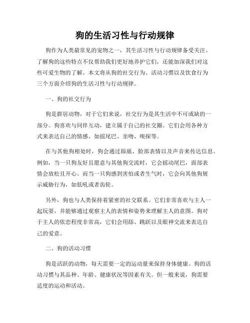 狗的生活习性与行动规律