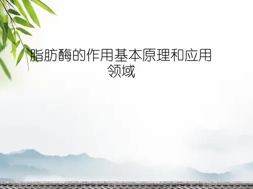 脂肪酶的作用基本原理和应用领域