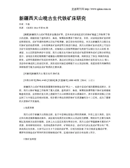 新疆西天山晚古生代铁矿床研究