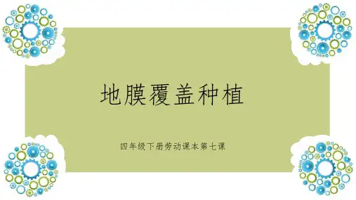 《地膜覆盖种植》课件