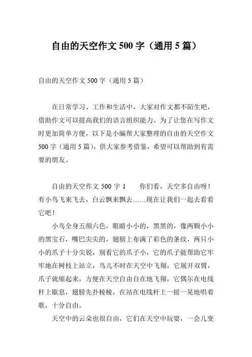 自由的天空作文500字(通用5篇)